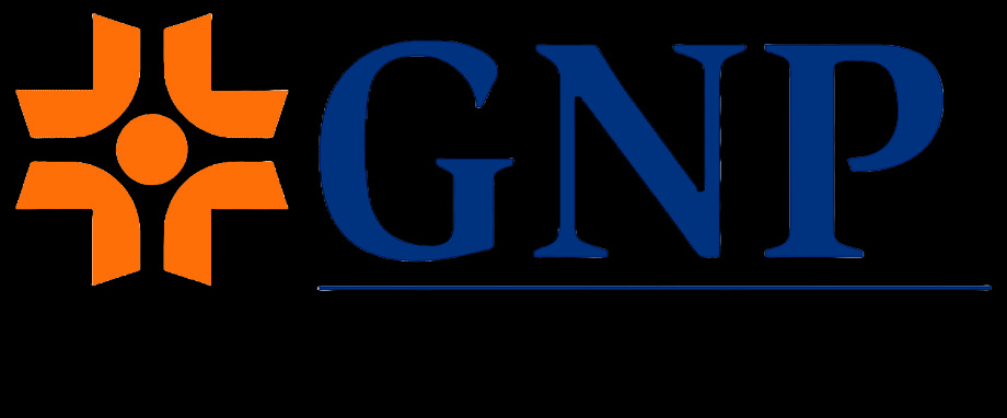 png-transparent-gross-national-product-grupo-nacional-provincial-sa-logo-insurance-business-blue-text-service